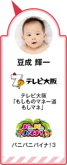 豆成 輝一 テレビ大阪「もしものマネー道もしマネ」 パニパニパイナ！3